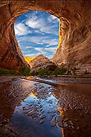 Dustin LeFevre